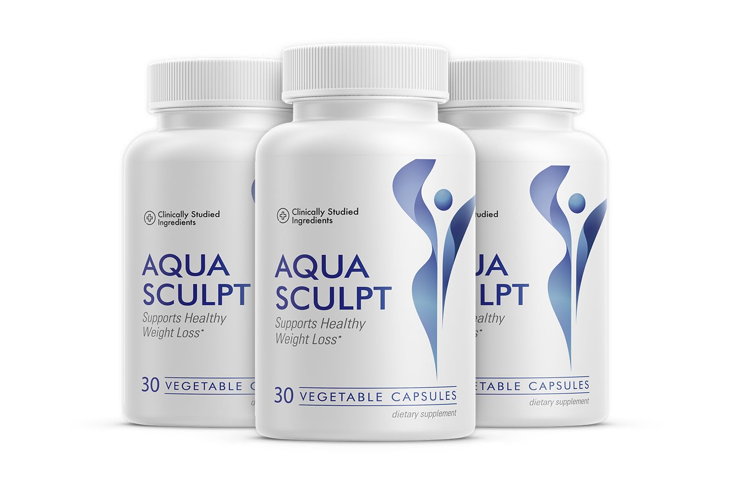 Aquasculpt