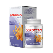 Cordyceps Pulse SK lungs Produkt