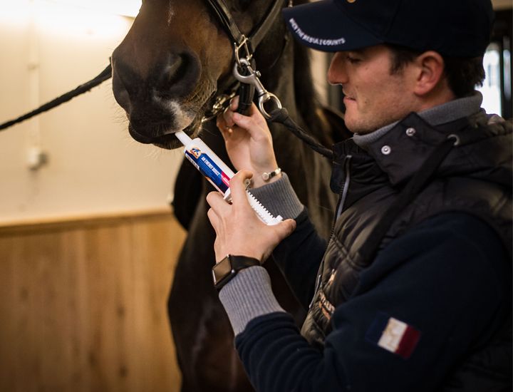 Horse Boost Produkt