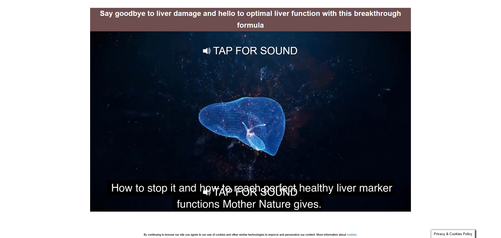 Liver Guard Plus Produkt